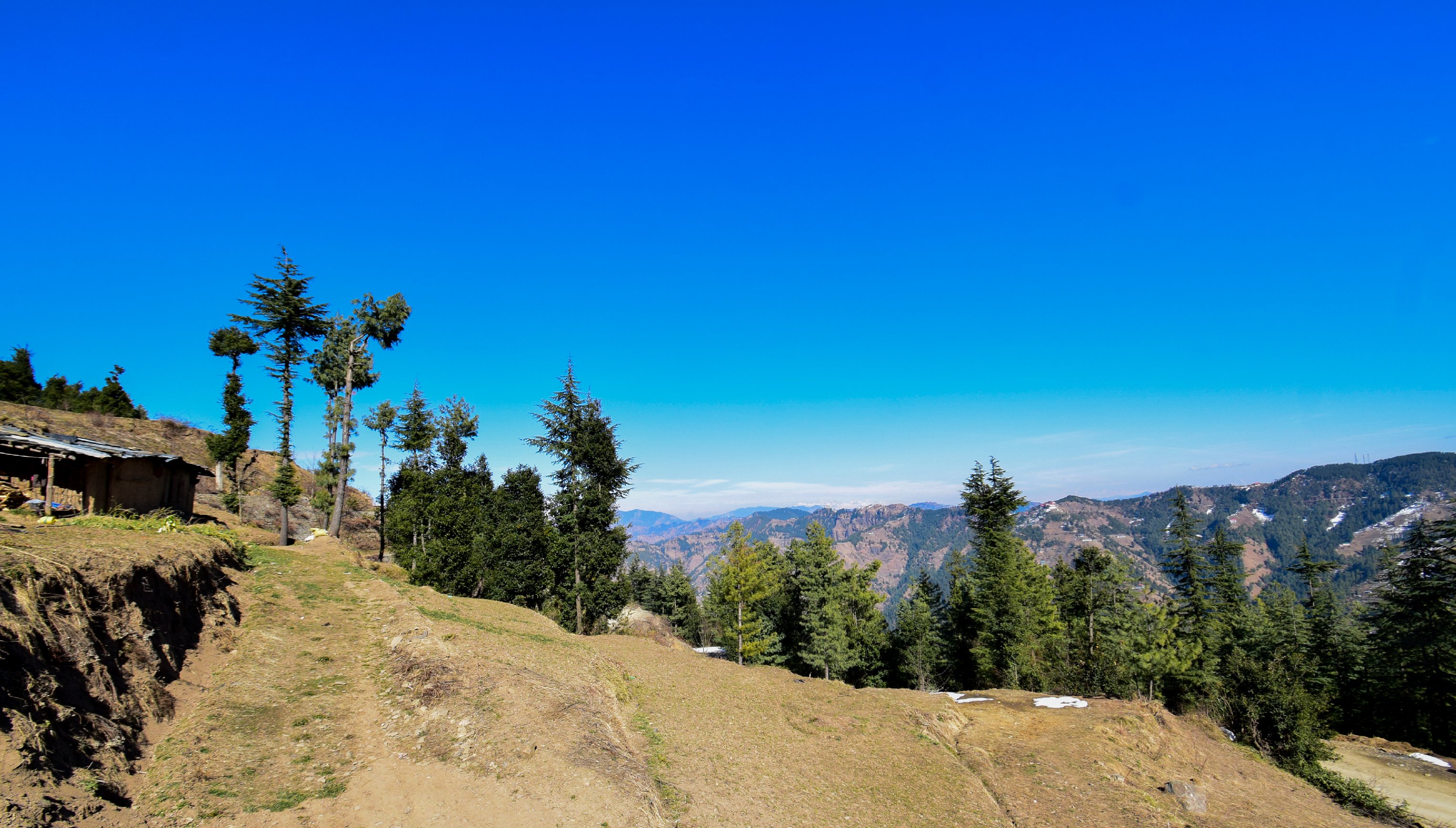 Gulmarg Height Homestay Kufri - Tap to explore photos