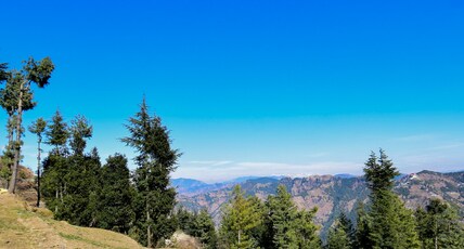 Gulmarg Height Homestay Kufri Room Type - Double Room