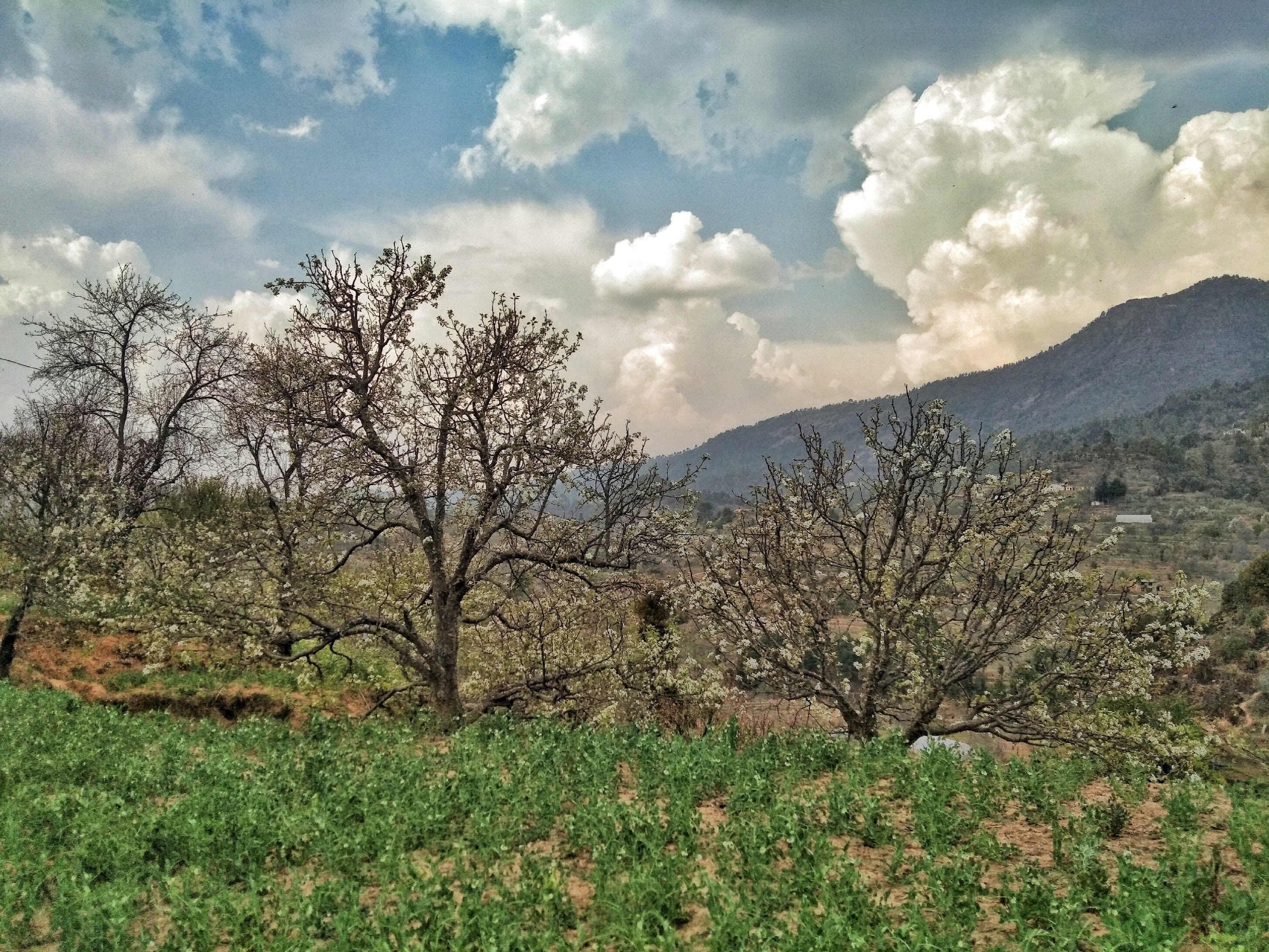 Onizni ecolodge - Tap to explore photos