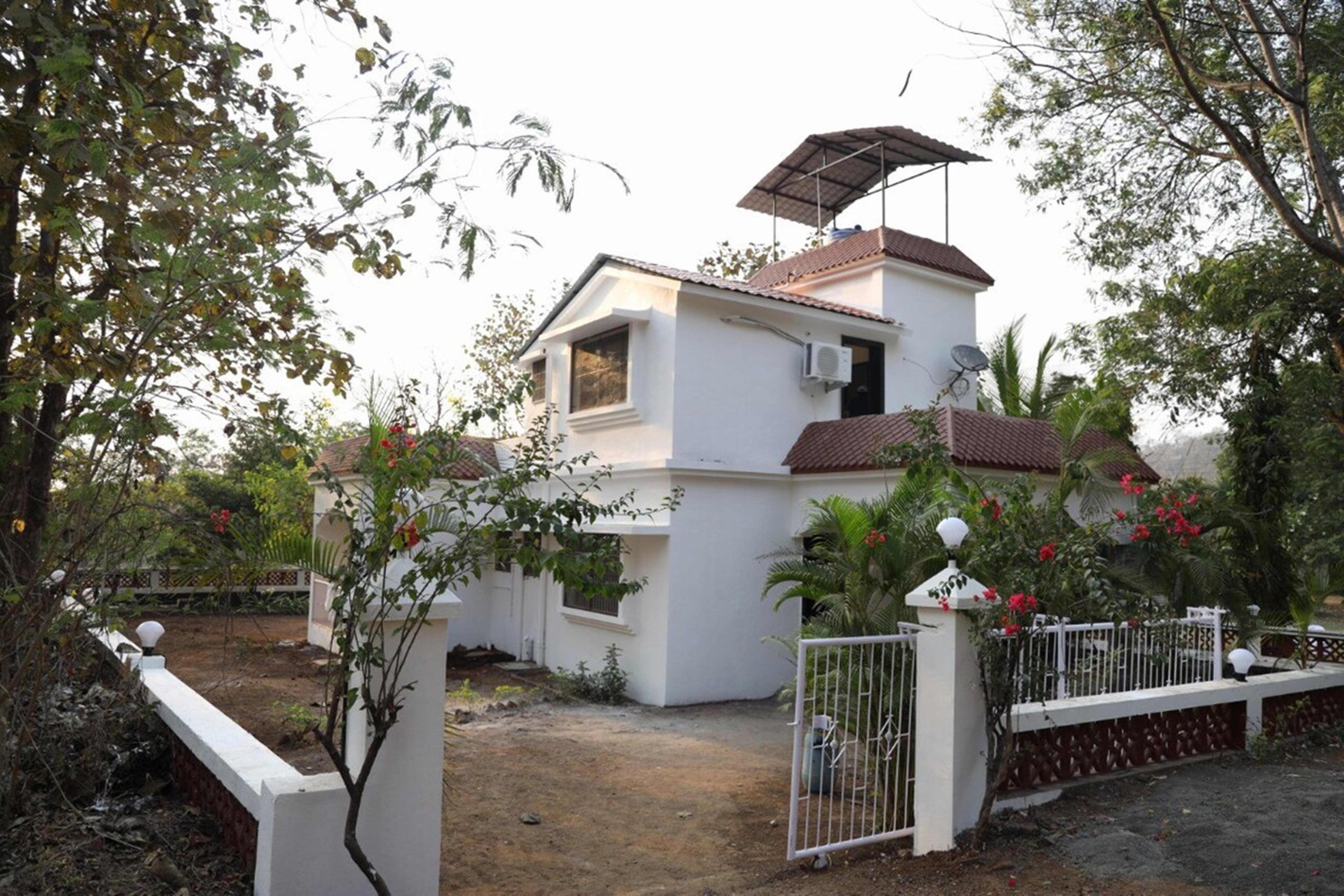 The Forbidden Forest - Tap to explore photos