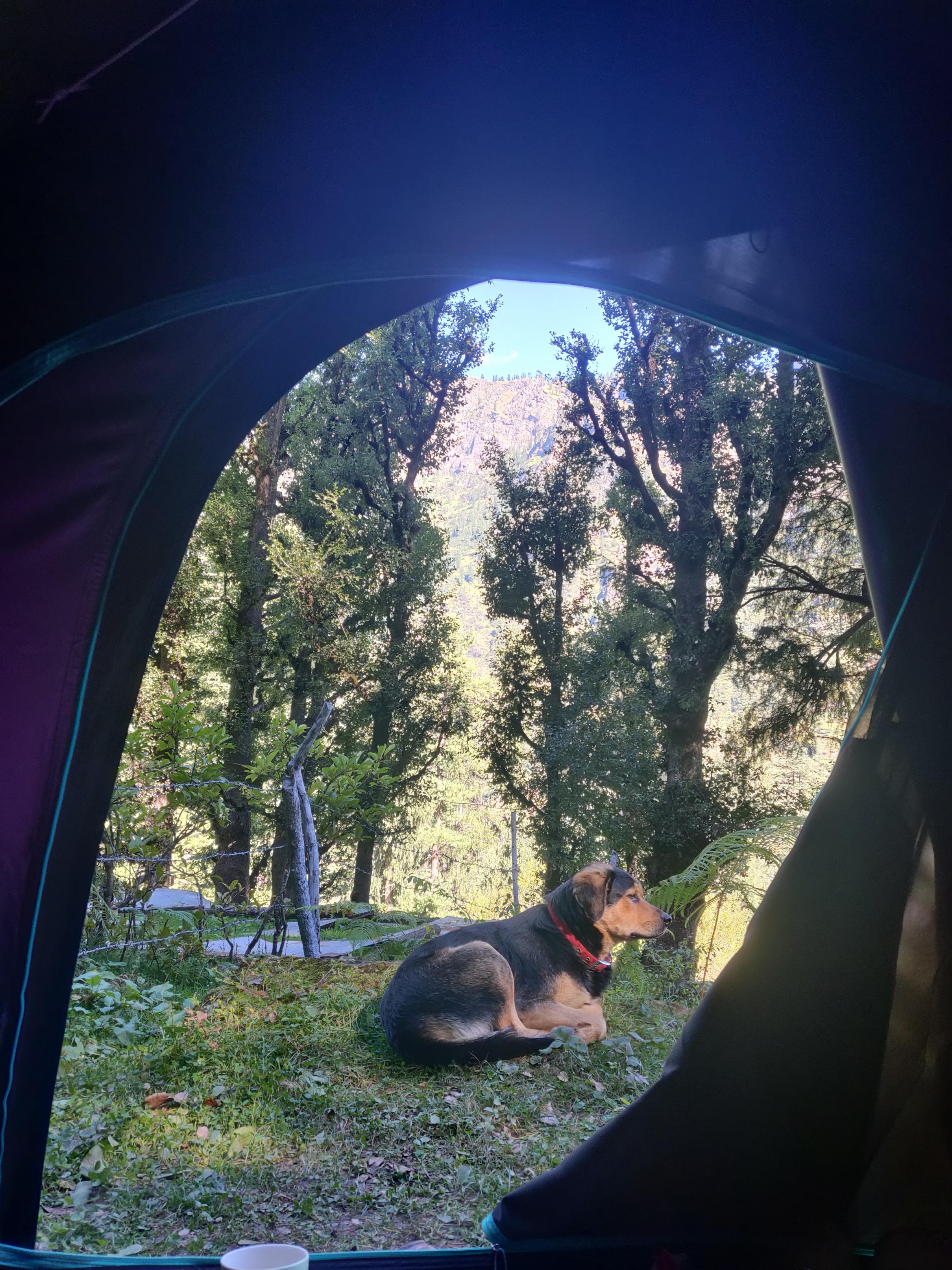 Traveler-Ella | Tents & Shared Kitchen - Tap to explore photos