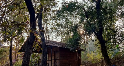 The Moonlit Stream - An Eco Stay Room Type - Forest Shade - Eco Stay