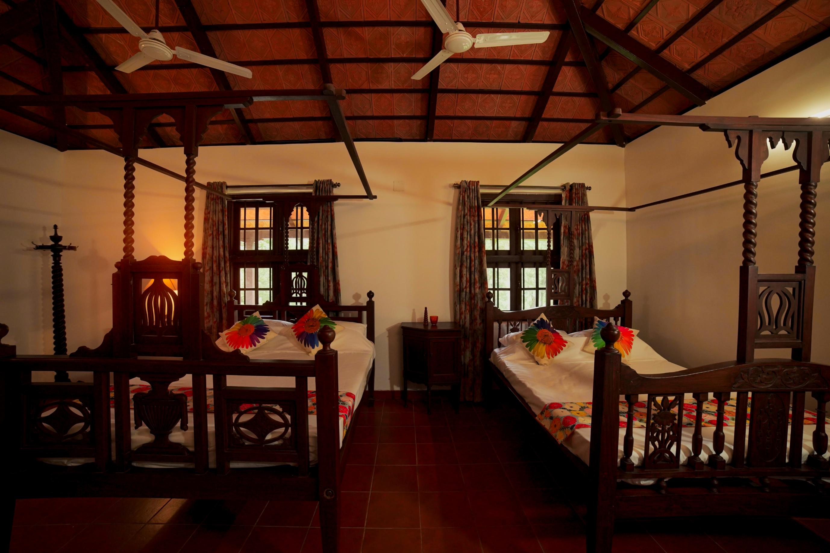 Misty Peaks - Tap to explore photos