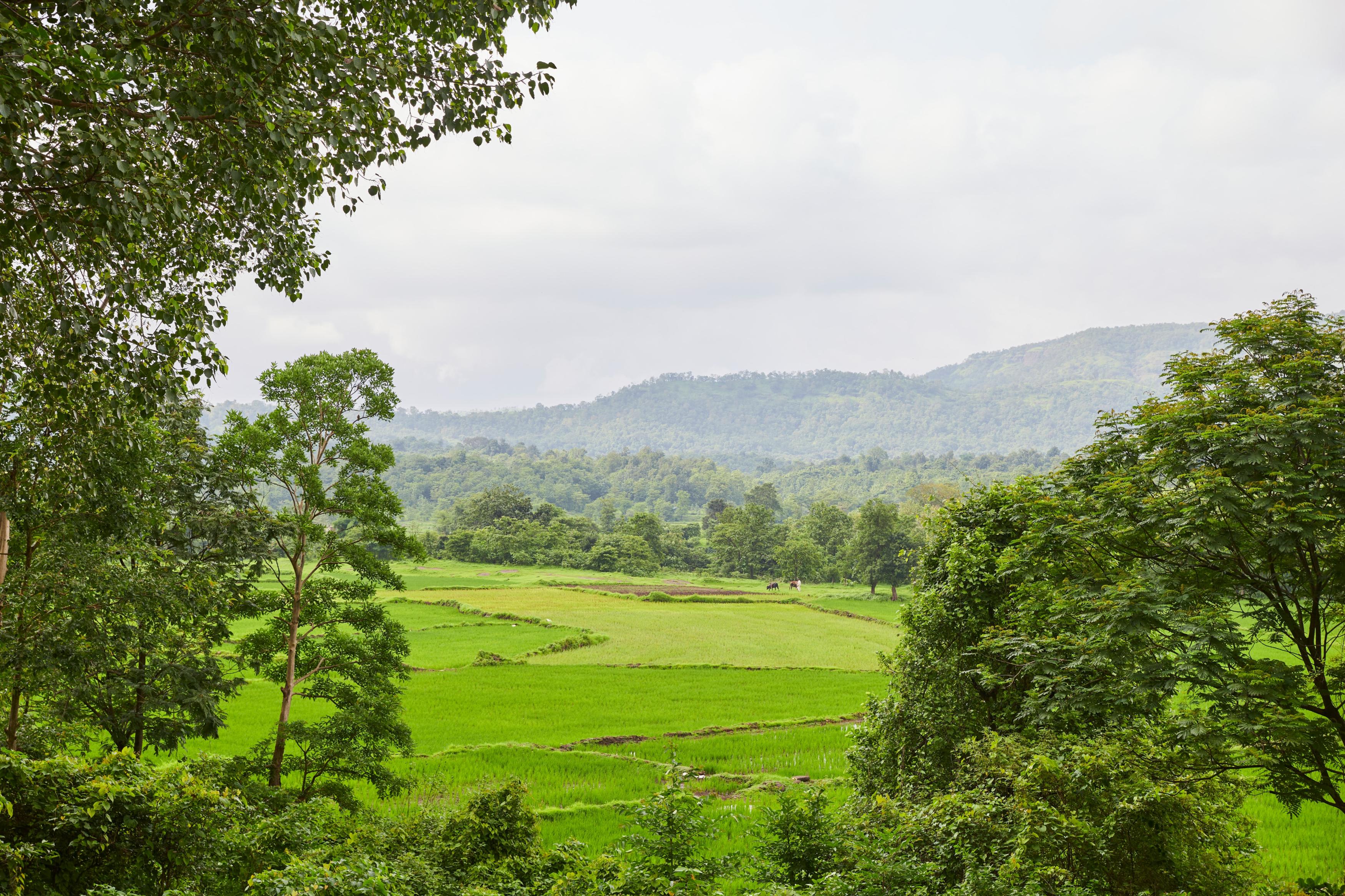 Souzagad Tattva - Tap to explore photos