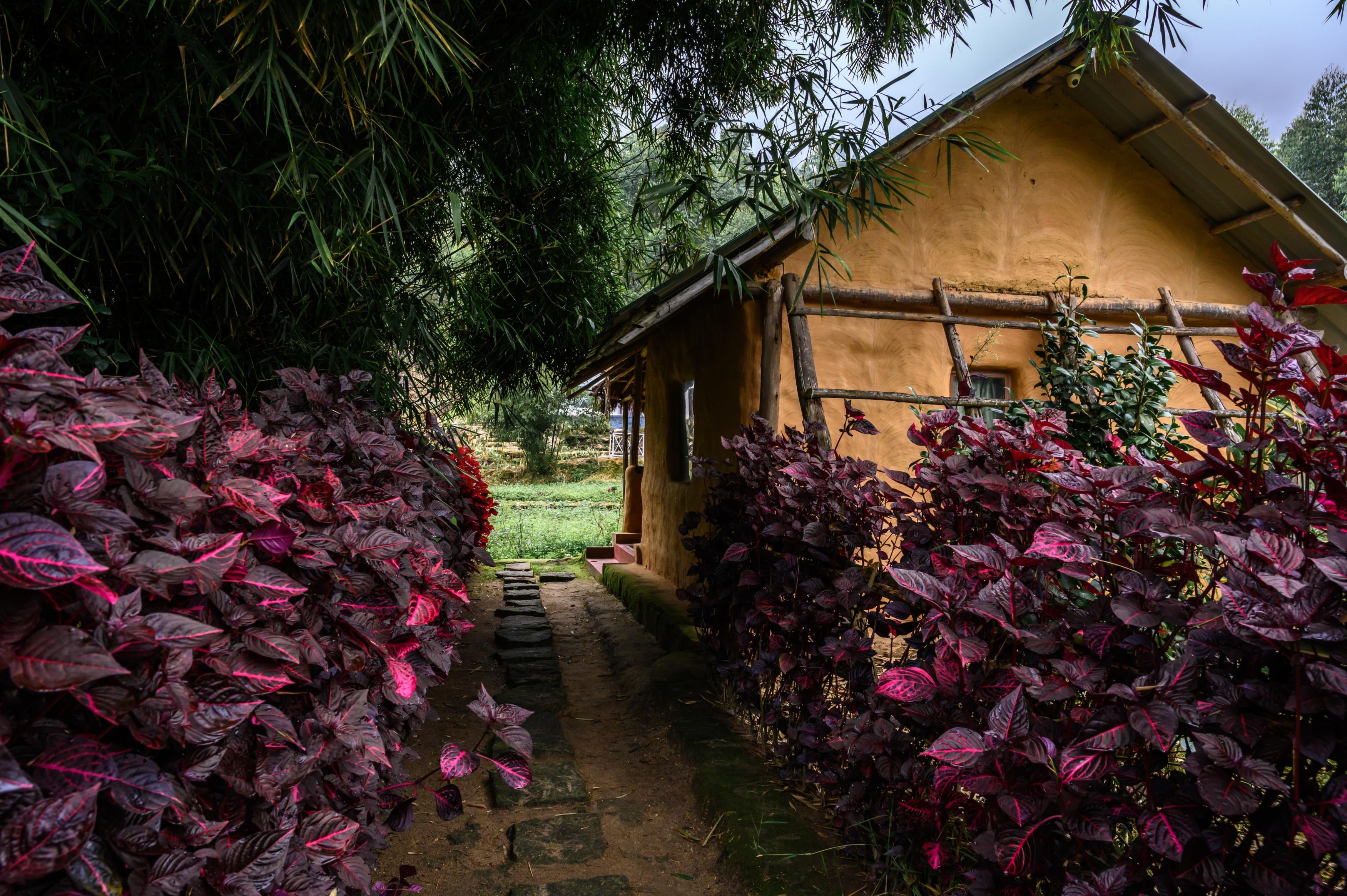 Anandavana Jungle Stay By Lexstays - Tap to explore photos