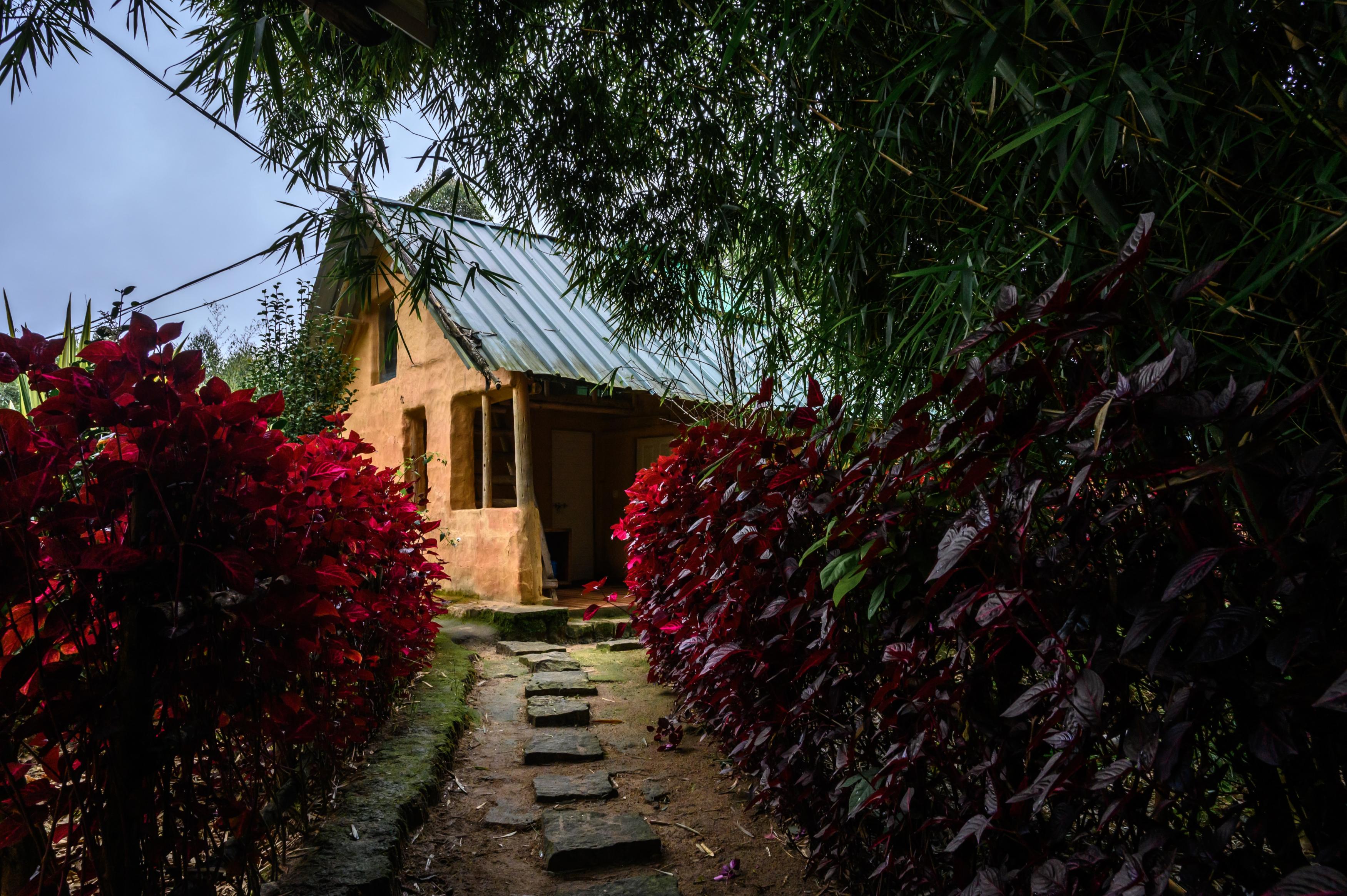 Anandavana Jungle Stay By Lexstays - Tap to explore photos