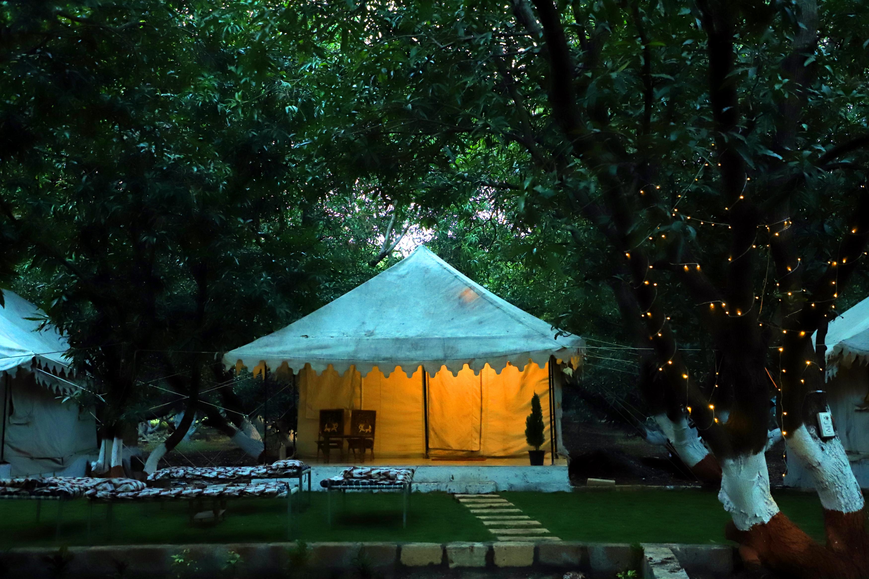 Gir Orchid Resort - Tap to explore photos