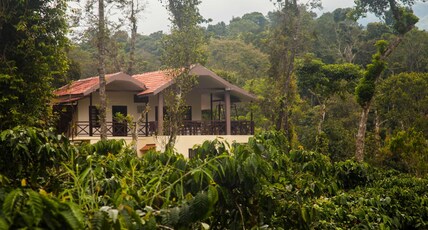 Wander with your buddies in a coffee plantation Room Type - Wander with your buddies in a coffee plantation Wander with your buddies in a coffee plantation Room Type - Wander with your buddies in a coffee plantation