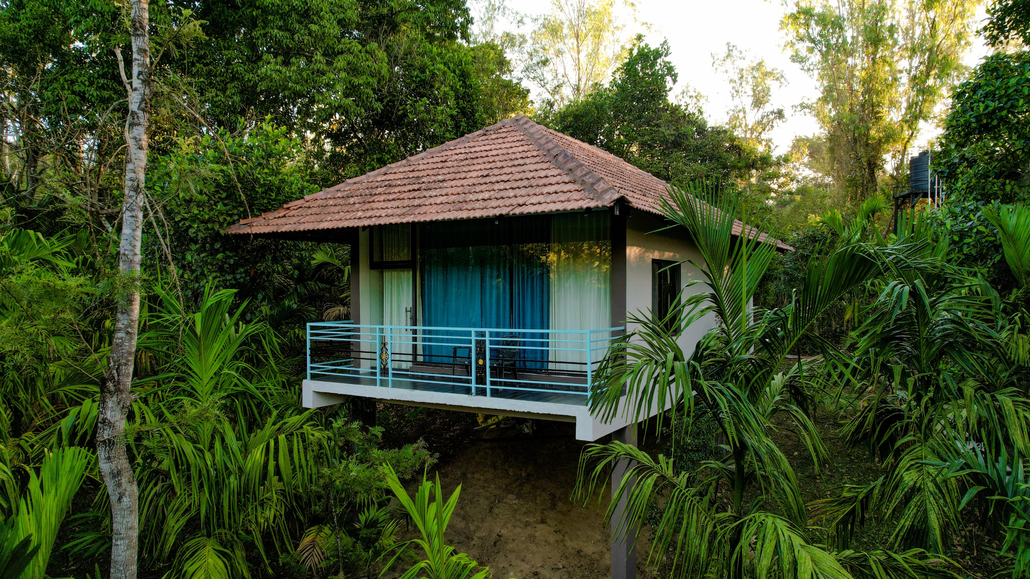 Green Tree - Tap to explore photos