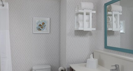 Hampton Inn & Suites by Hilton Manistee Waterfront Room Type - 2 QNS LAKE VW W FRIDGE NS