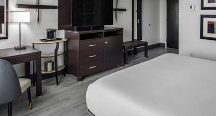 DoubleTree by Hilton Sarasota Bradenton Airport Room Type - 1 KING BED