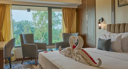 Borail View Regency Room Type - Super Deluxe Room