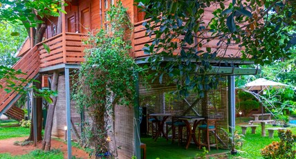 La Serene Room Type - Tree House