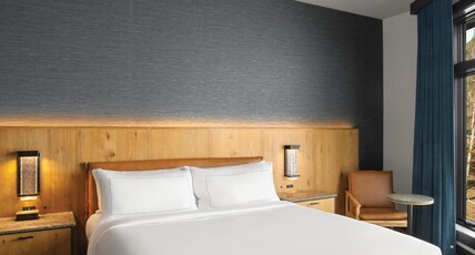 Cloudland at McLemore Resort Lookout Mountain, Curio Hilton Room Type - SELAH SPA SUITE 1KG MTN VW