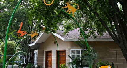 Neelam Foresteria Resort Room Type - PREMIUM EXECUTIVE ROOM