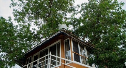 Habba Dates Village Room Type - 1 Bedroom Tree House