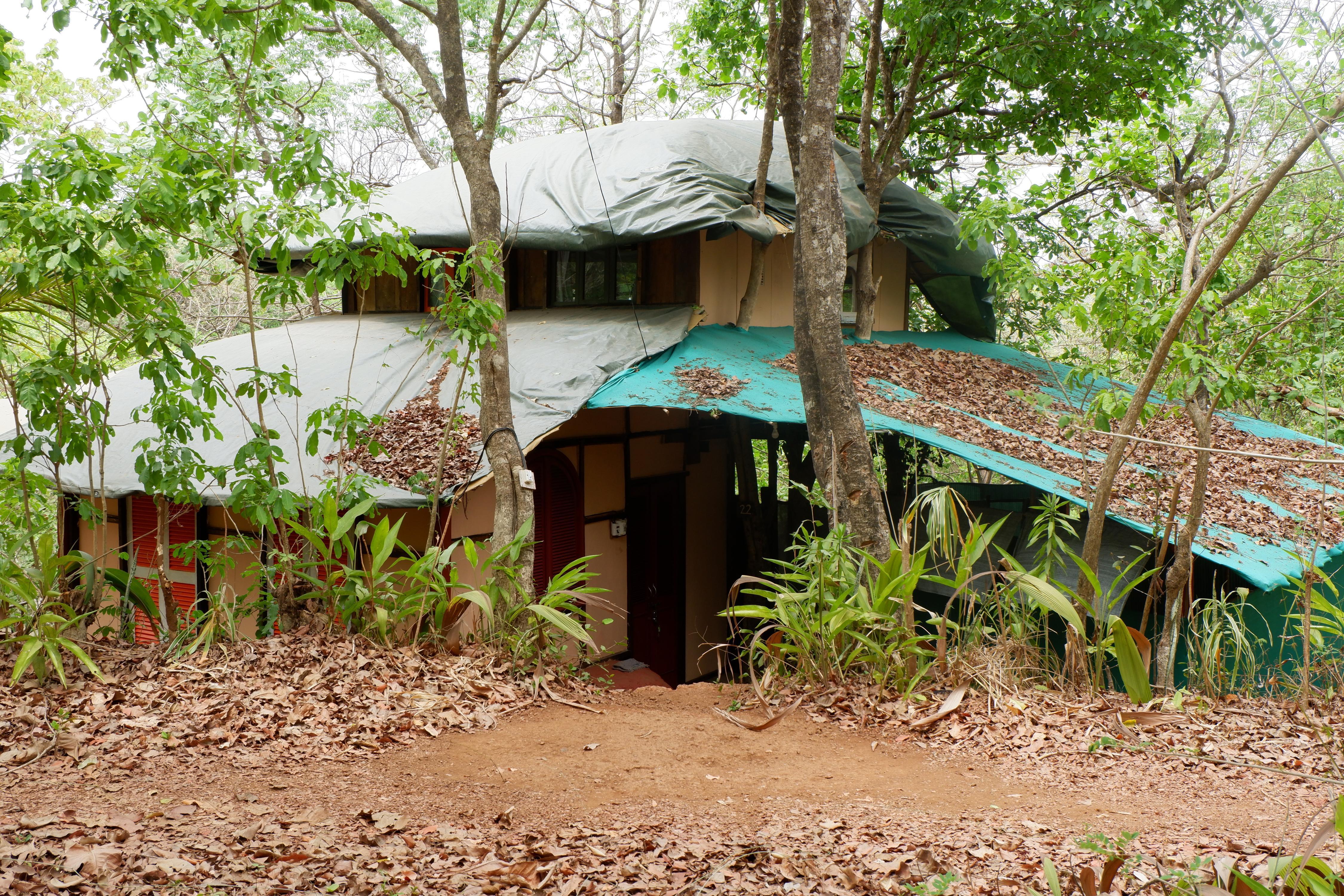Khaama Kethna eco village Room Type - Rustic Forest Duplex Khaama Kethna eco village Room Type - Rustic Forest Duplex