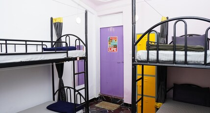 Lost Paradise A Social Hostel Room Type - Purple Dorm