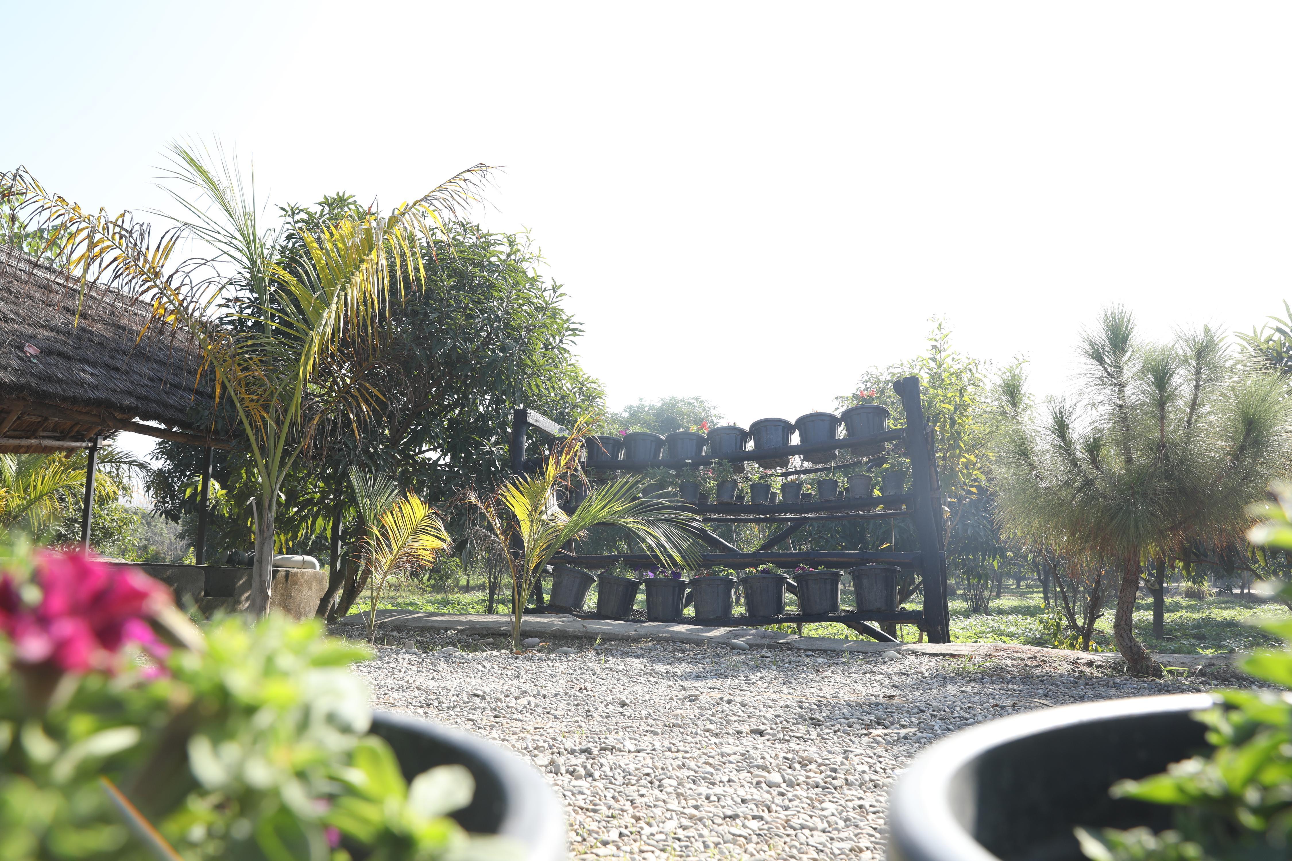 Abhyaranyan Farmstay Room Type - TARA- 003