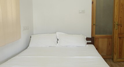 Peyolis Place Room Type - Deluxe Double Room (101)