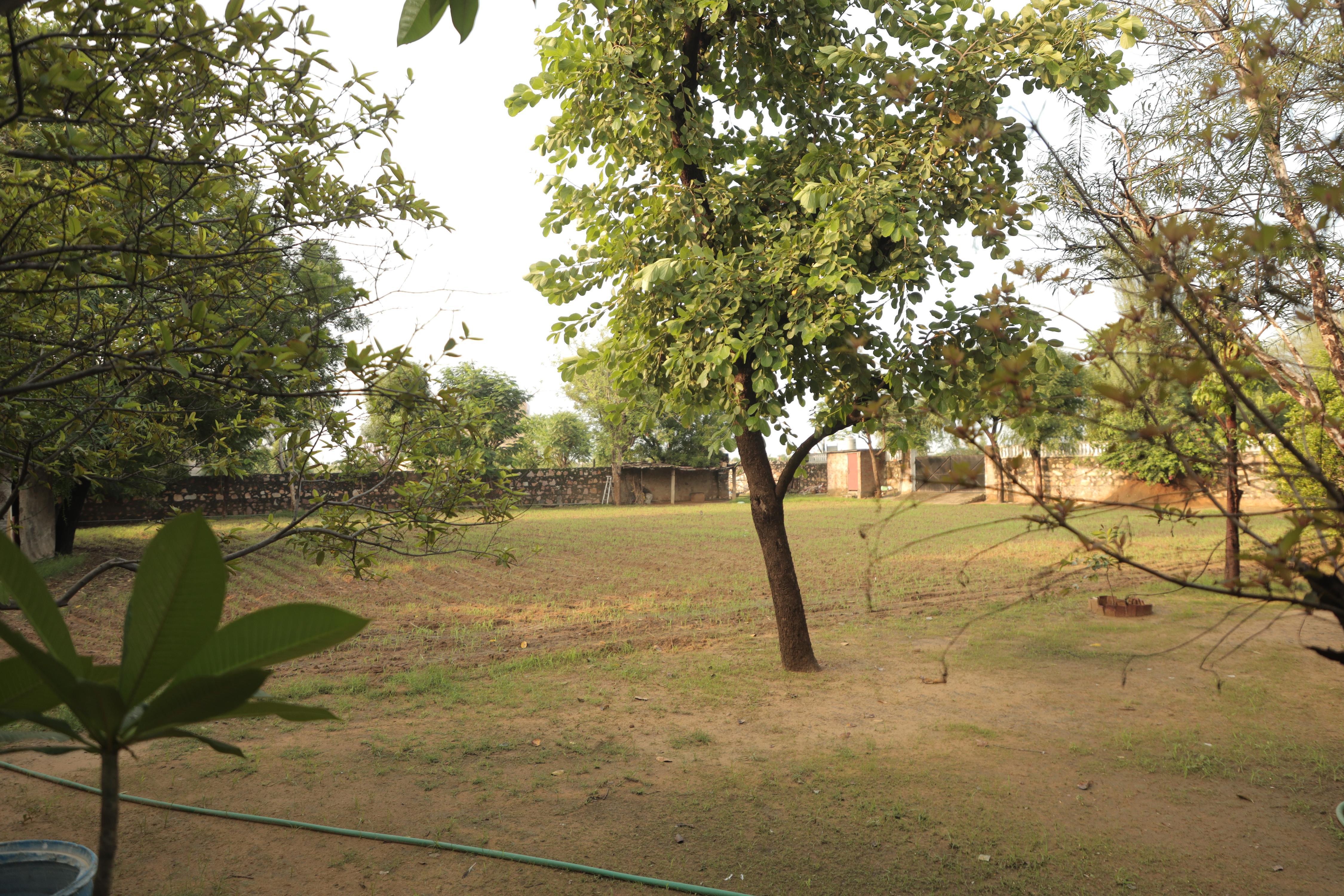 Private Garden Amber Stay in Jaipur - Tap to explore photos