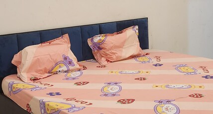 Hotel Harsh In Room Type - Bedroom