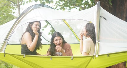 Stingary Woods Neral Room Type - Tree tent 3