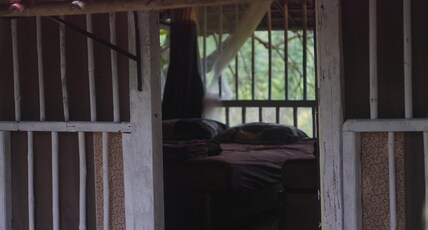 Stingary Woods Neral Room Type - Rustic Cottage 1