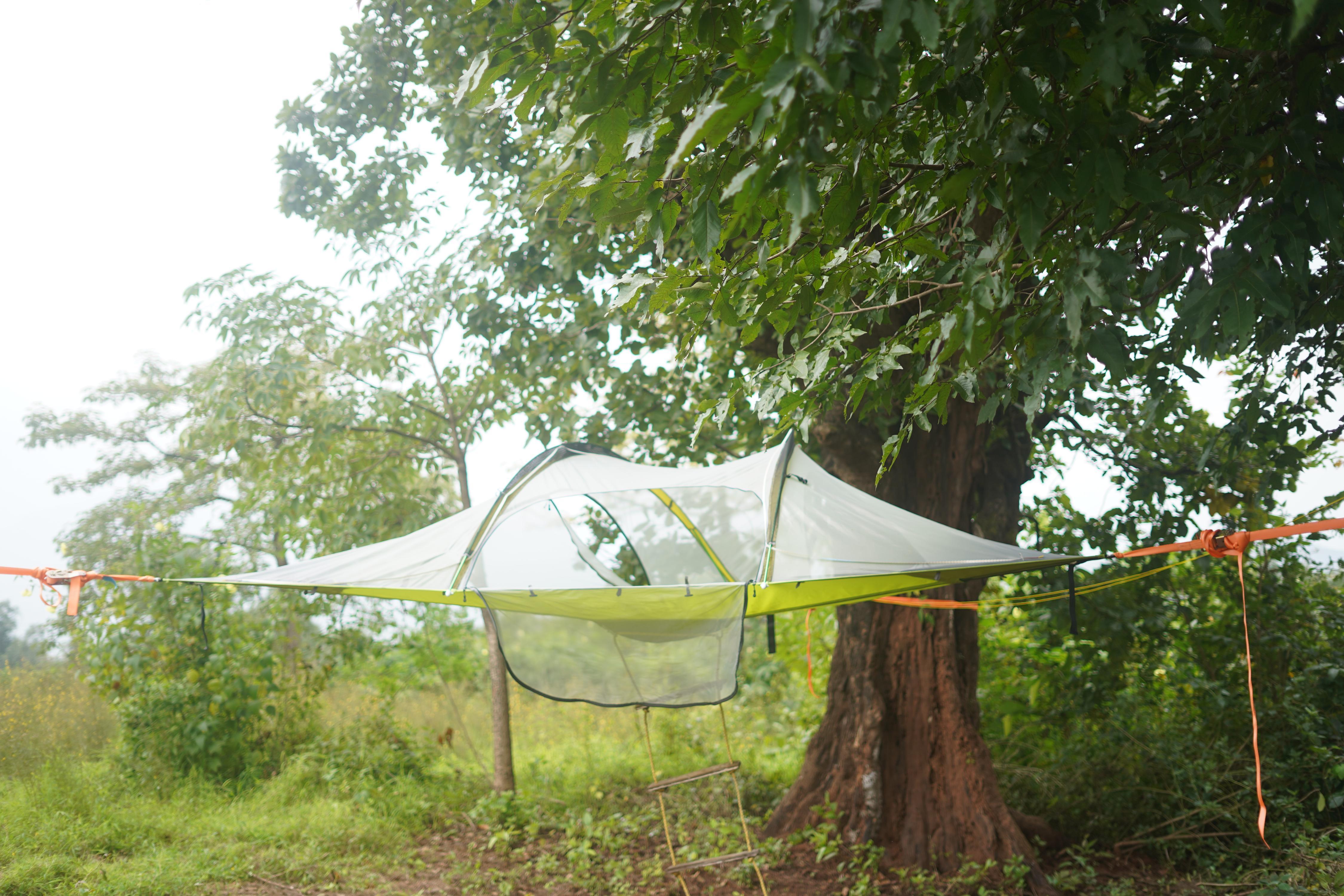 Stingary Woods Neral Room Type - Tree tent 2