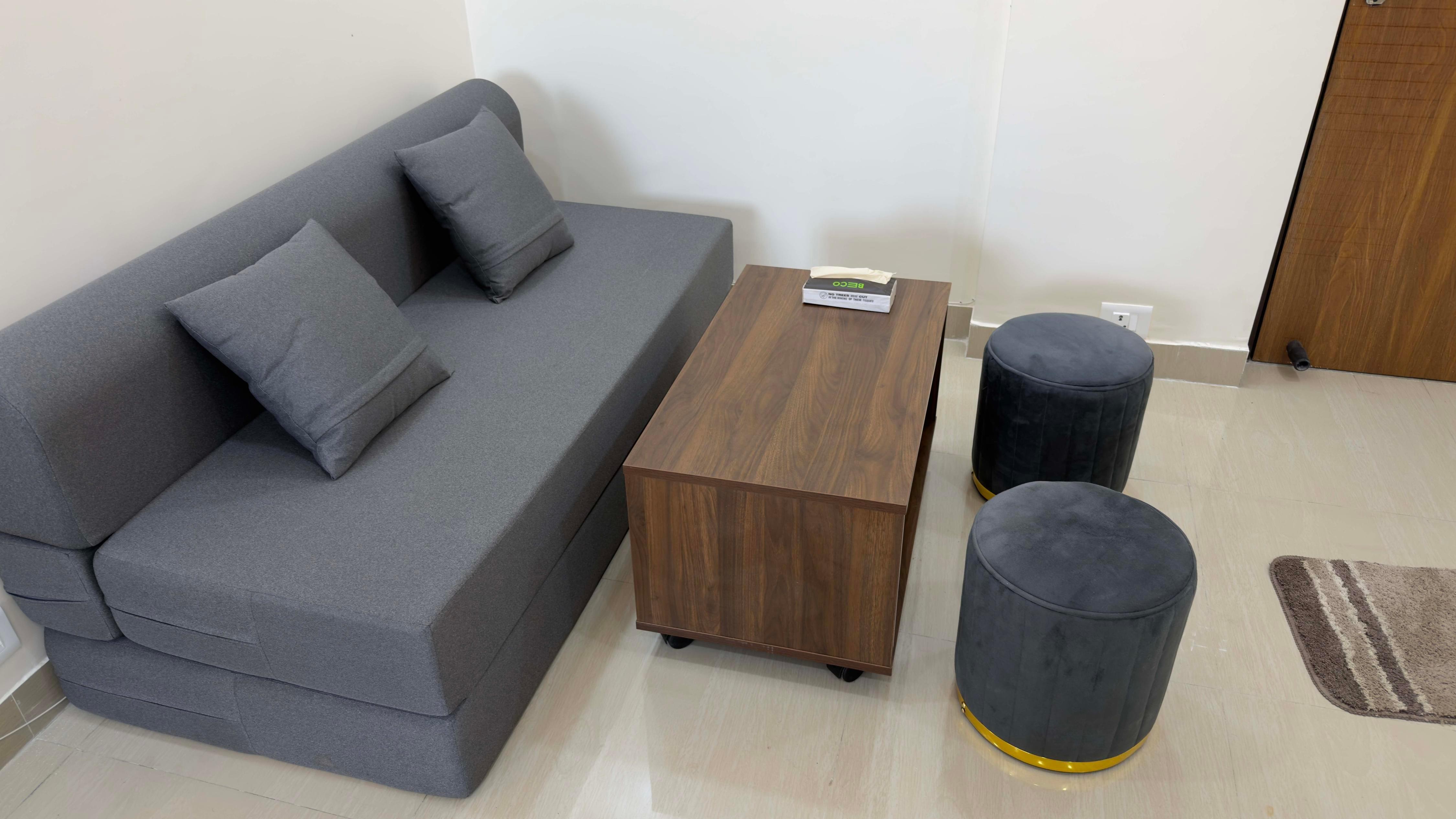 Spacious 1BHK | Workstation | 2 Balconies Room Type - Spacious 1BHK | Workstation | 2 Balconies