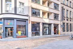 Spacious stay for 9 in Antwerp