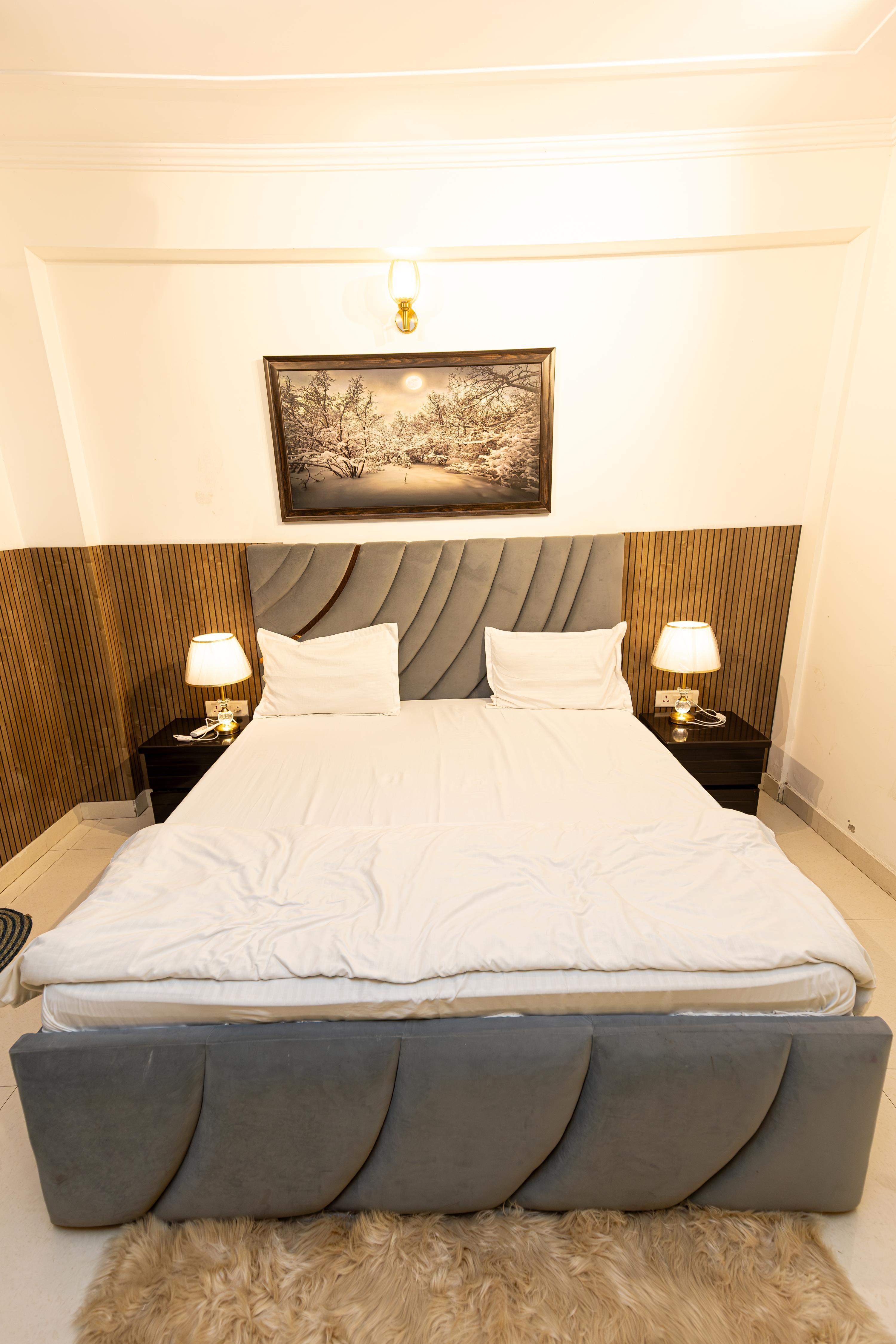 Mad Monkeys |Entire 1BHK Fully Furnished Apartment