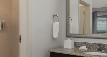 Hampton Inn & Suites Baton Rouge Downtown Room Type - 1K STUDIO STREET W BALC NS