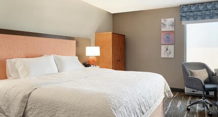 Hampton Inn Phoenix-Chandler Room Type - 1KNG MOB HEAR ACC W TUB NS