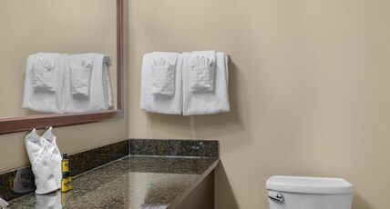 Best Western Plus Fredericton Hotel & Suites Room Type - Suite-1 King Bed, Non-Smoking, Separate Bedroom, Sofabed, Sitting Area, French Doors, Microwave And 
