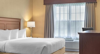 Best Western Plus Fredericton Hotel & Suites Room Type - Accessible - 1 King, Mobility Accessible, Roll In Shower, Microwave And Refrigerator, Wi-Fi, Non-Smo Best Western Plus Fredericton Hotel & Suites Room Type - Accessible - 1 King, Mobility Accessible, Roll In Shower, Microwave And Refrigerator, Wi-Fi, Non-Smo