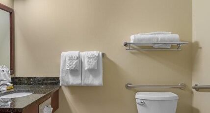 Best Western Plus Fredericton Hotel & Suites Room Type - Accessible - 1 Queen, Mobility Accessible, Roll In Shower, Desk, Microwave And Refrigerator, Wi-Fi, Best Western Plus Fredericton Hotel & Suites Room Type - Accessible - 1 Queen, Mobility Accessible, Roll In Shower, Desk, Microwave And Refrigerator, Wi-Fi,