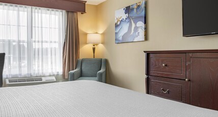 Best Western Plus Fredericton Hotel & Suites Room Type - 1 King Bed, Non-Smoking, Refrigerator, Wi-Fi, Full Breakfast