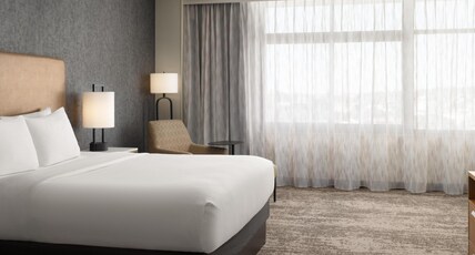 Embassy Suites Hot Springs - Hotel & Spa Room Type - 1KING PRES STE ACC RI-SHWR