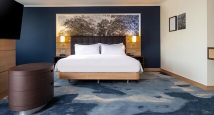 Hilton Mainz Room Type - JUNIOR SUITE RIVER VIEW