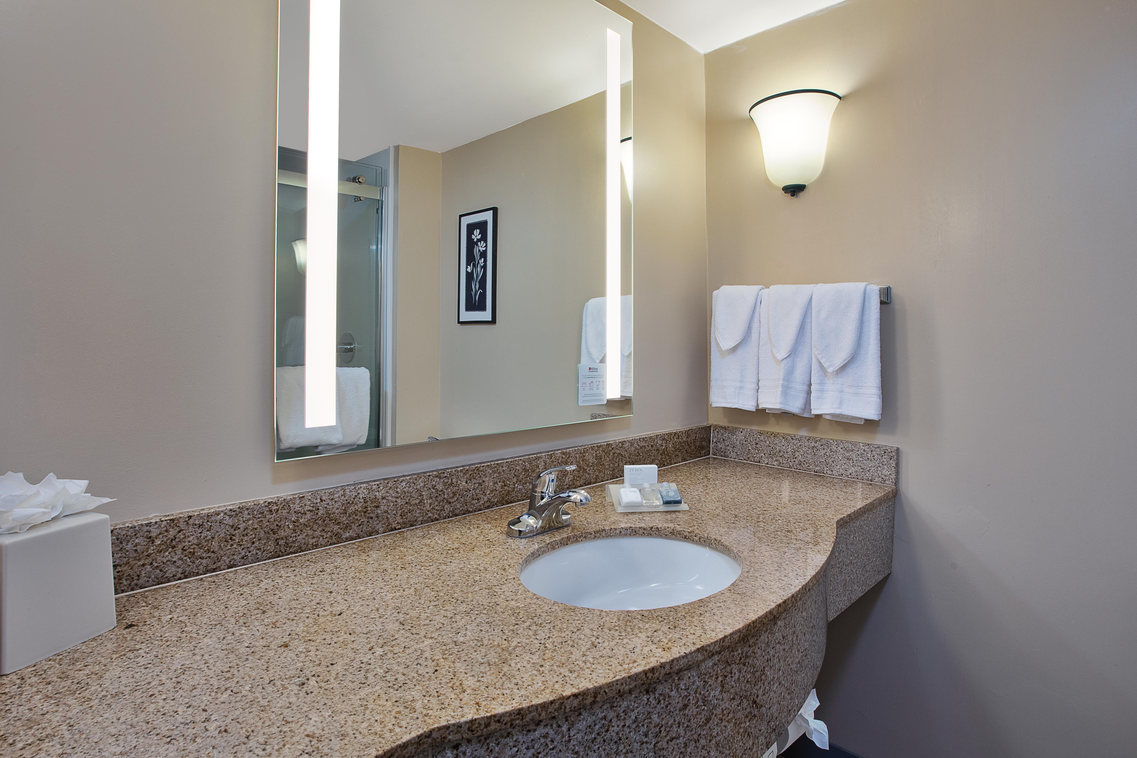 Hilton Garden Inn Chesapeake Room Type - 1KNG ACC 1BDRM STE RI SHWR