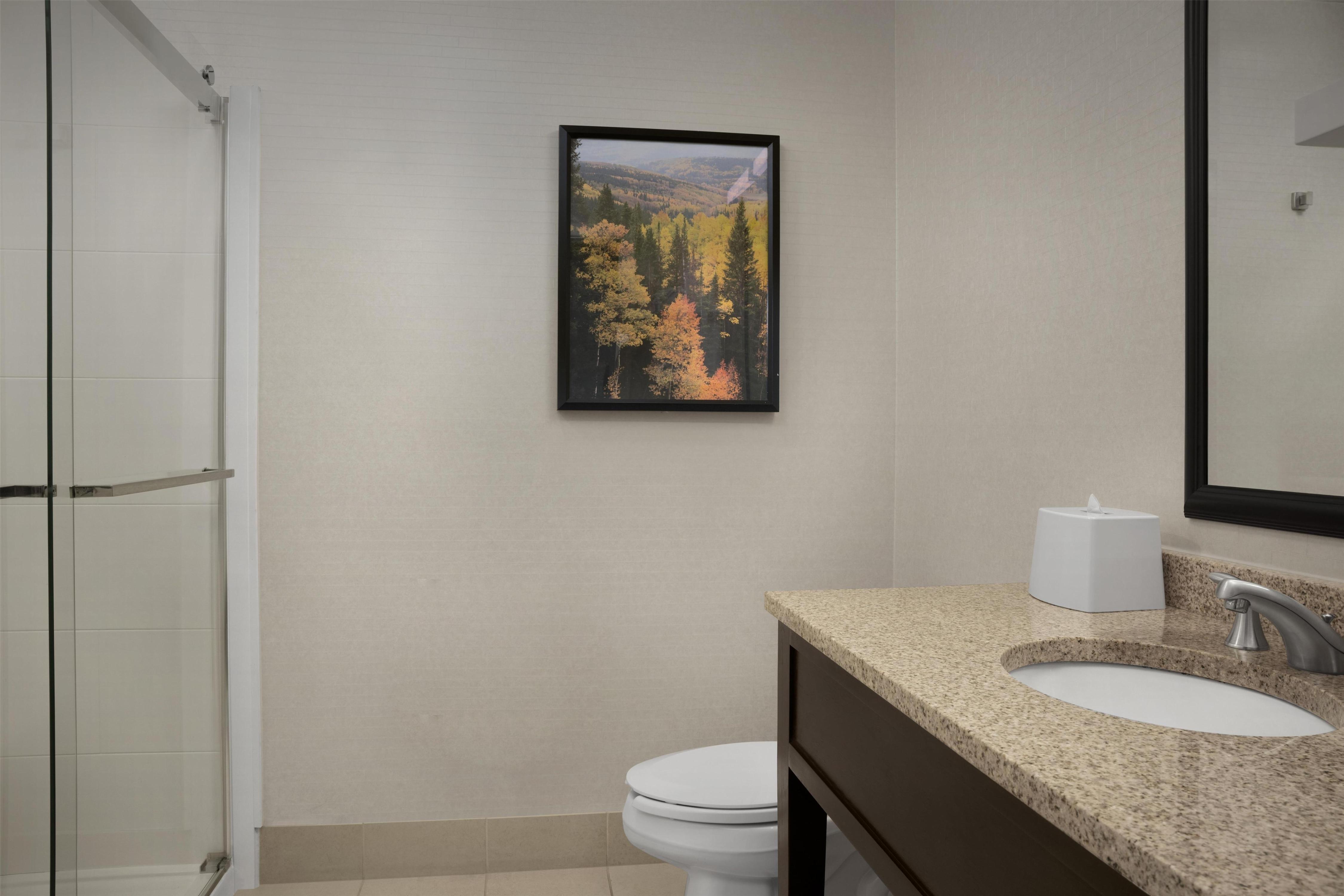 Hampton Inn & Suites by Hilton Denver Tech Center Room Type - 1 KG STE W KITCHEN SOFABED