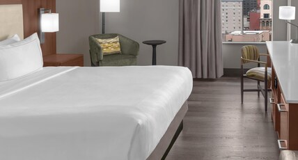 DoubleTree by Hilton New Orleans Room Type - 1 KING BED DELUXE