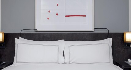 Conrad New York Downtown by Hilton Room Type - LUXURY STE KG ACC RI SHW