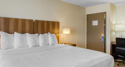 Best Western North Phoenix Hotel Room Type - 1 King Bed, Non-Smoking, Pet Friendly Room, Wet Bar, Work Desk, Microwave And Refrigerator, Wi-Fi, F Best Western North Phoenix Hotel Room Type - 1 King Bed, Non-Smoking, Pet Friendly Room, Wet Bar, Work Desk, Microwave And Refrigerator, Wi-Fi, F