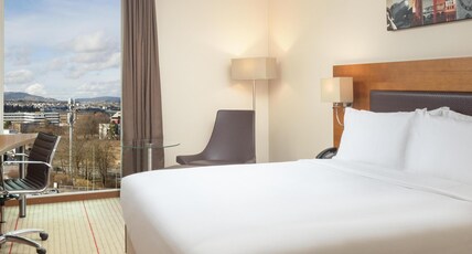 Hilton Zurich Airport Hotel Room Type - QUEEN EXECUTIVE ROOM