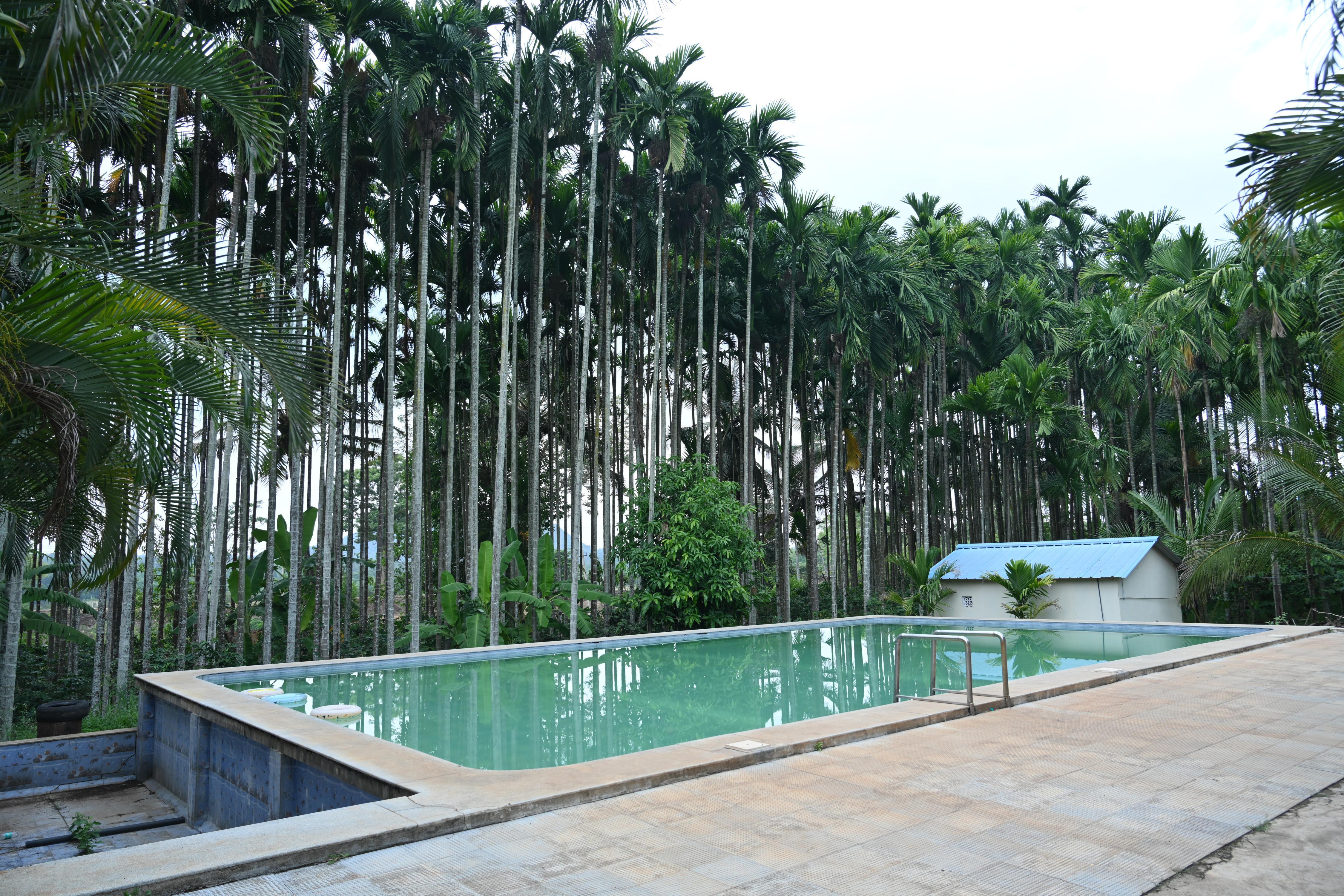 Saatvik Coorg Homestays Room Type - Budget Double room