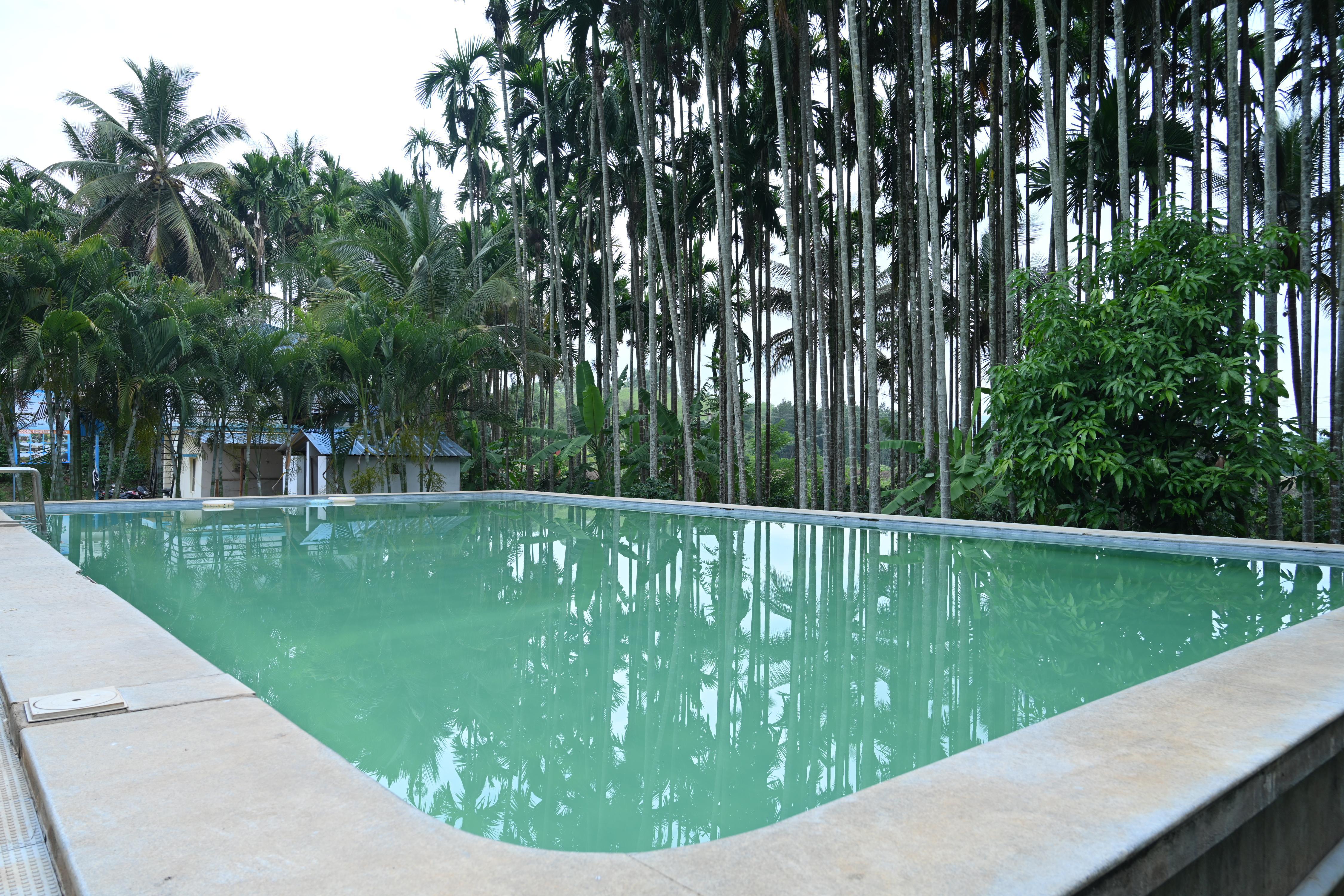 Saatvik Coorg Homestays Room Type - QUEEN ROOM WITH BALCONY