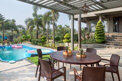 The Palm Tree By Grape County