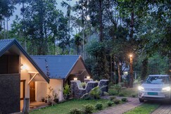 Mystic Trees By Cluster Cloud